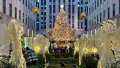 All-You-Need-to-Know-About-the-Rockefeller-Christmas-Tree-2025-2188403904