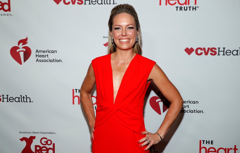 Dylan Dreyer Finally Reveals the Details of Her Separation from Husband Brian Fichera 1461472695