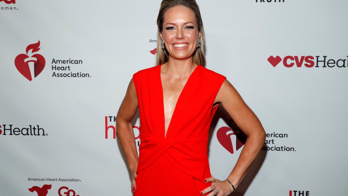Dylan Dreyer Finally Reveals the Details of Her Separation from Husband Brian Fichera 1461472695