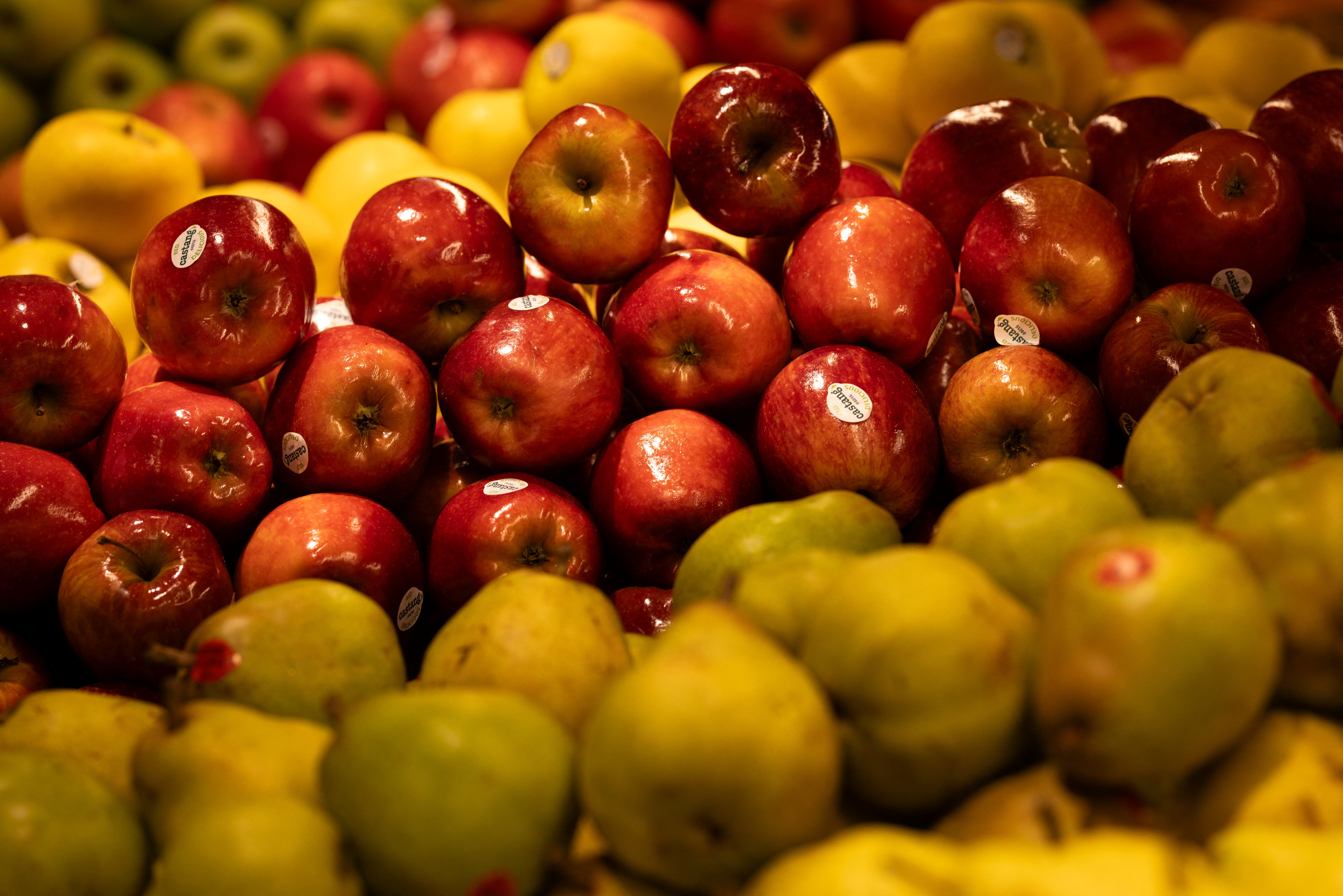 Easy Ways to Stay Healthy During the Holiday Season