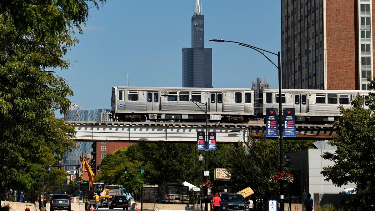 Man Charged With Terrorism After Setting Woman on Fire on Chicago Train