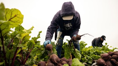 Need-To-Lower-Your-Blood-Pressure-A-Study-Reveals-This-Simple-Beverage-Show-Promise-2159849192