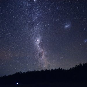 What-Thanksgiving-Food-You-Are-Based-On-Your-Zodiac-Sign-1231182950