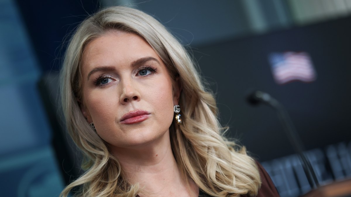White House Speaker Karoline Leavitt’s Nephew’s Mother Detained By ICE