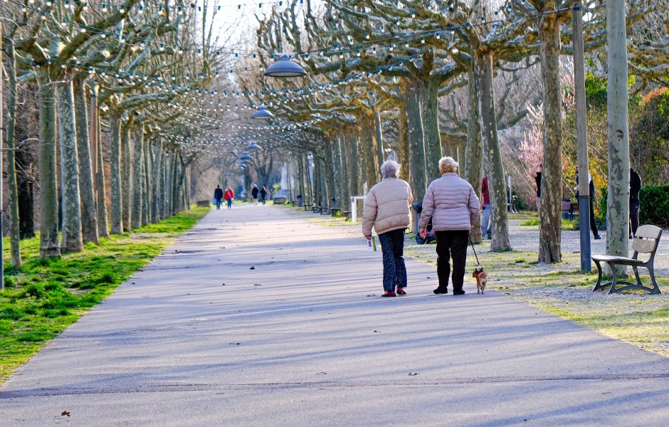 What 100-Year-Olds Do Every Day to Stay Healthy and Happy
