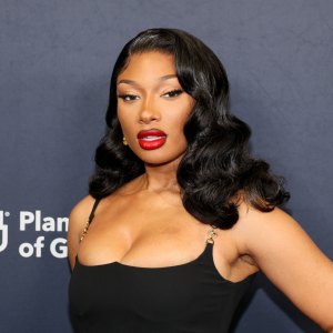 Megan Thee Stallion Wins Defamation Lawsuit Against Blogger Details
