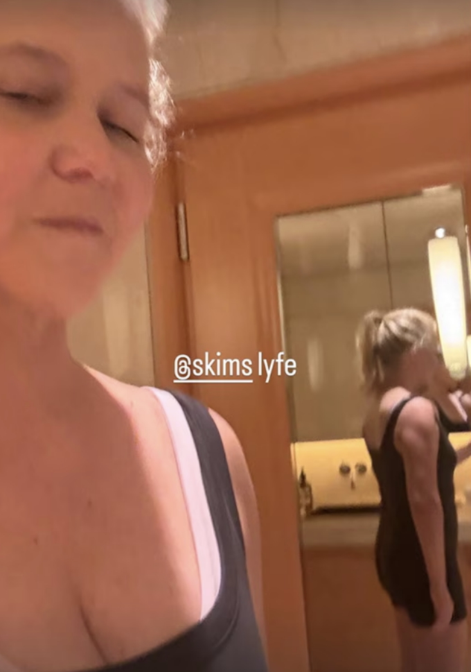 amy schumer bikini