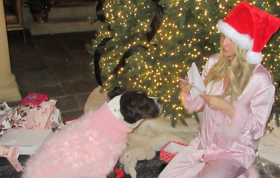 Influencer Alix Earle Officially Adopts Her Foster Dog Asia on Christmas: ‘Best Buddy For Life’