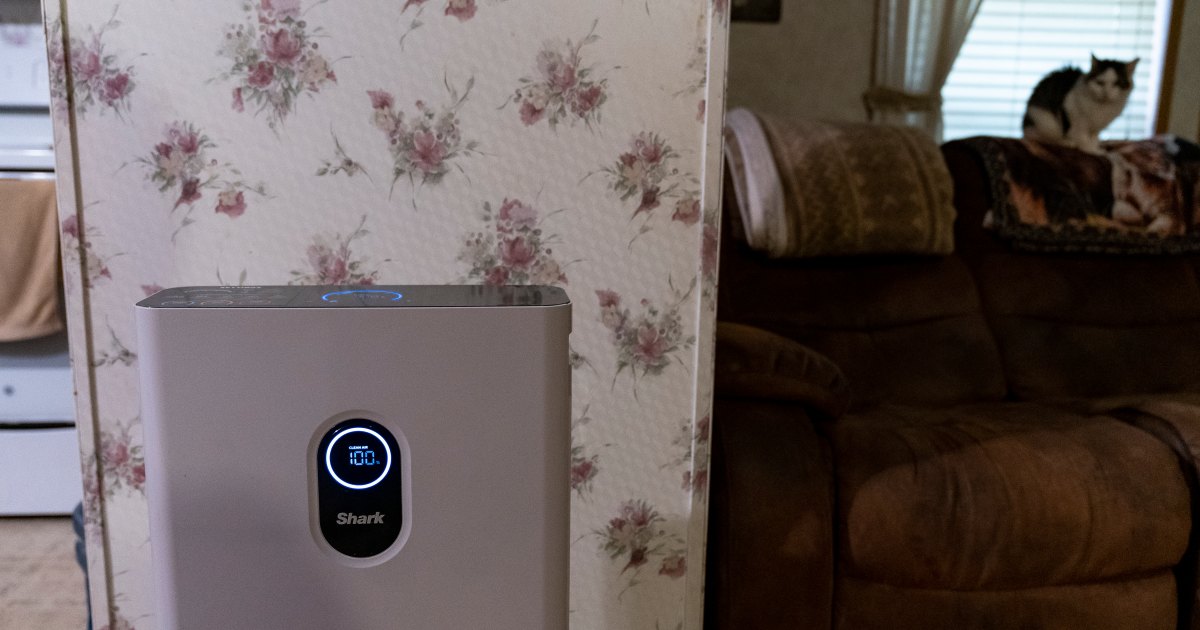 Dehumidifier vs Humidifier: Which One Your Home Really Needs
