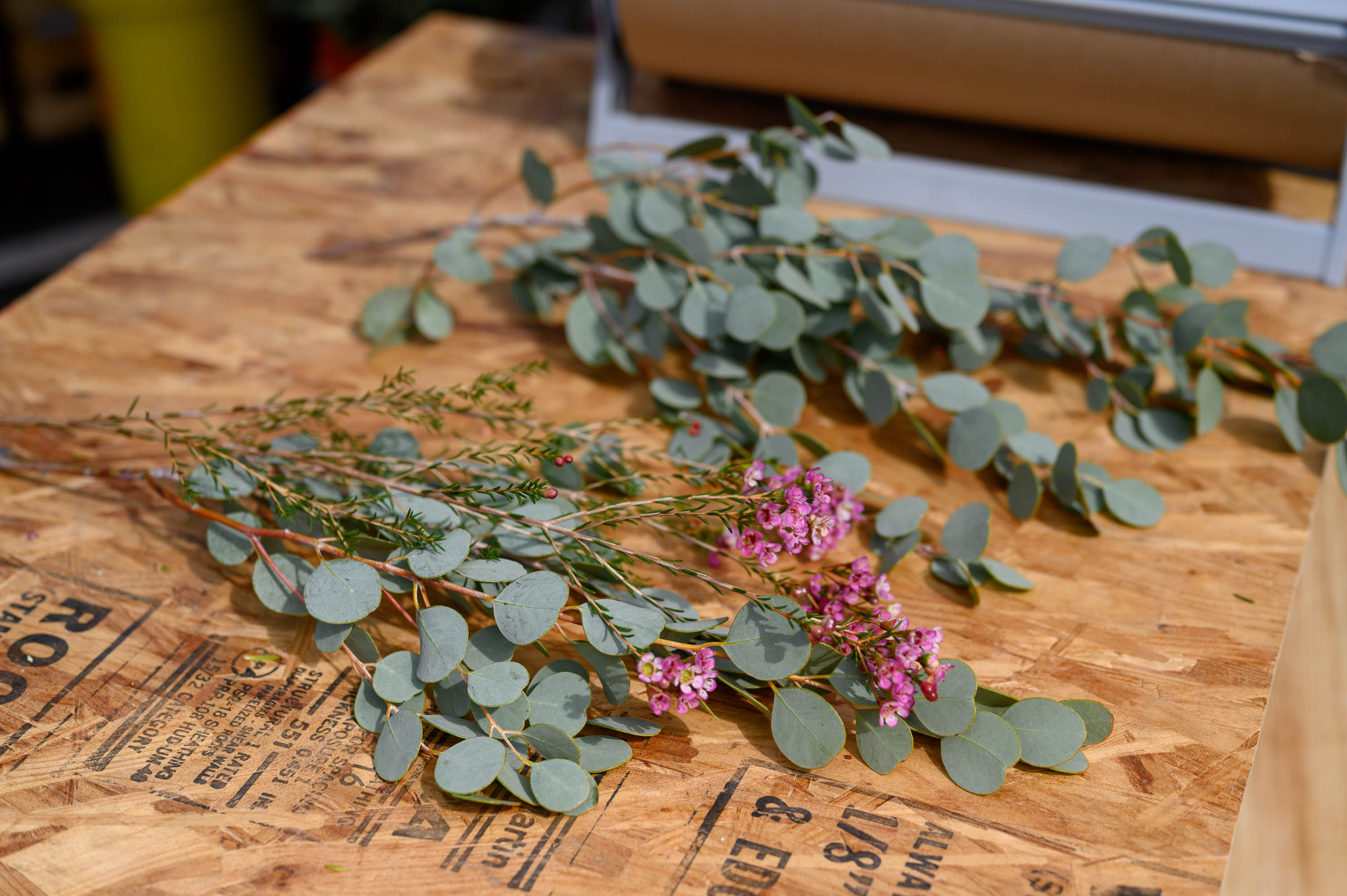 The Benefits of Keeping Fresh Eucalyptus In Your Home