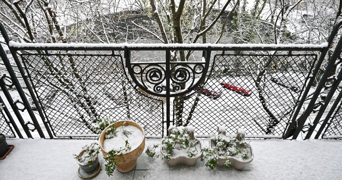 How to Plan Your Spring Garden This Winter