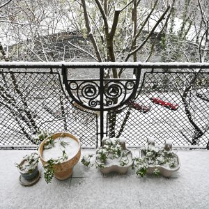 How to Plan Your Spring Garden This Winter