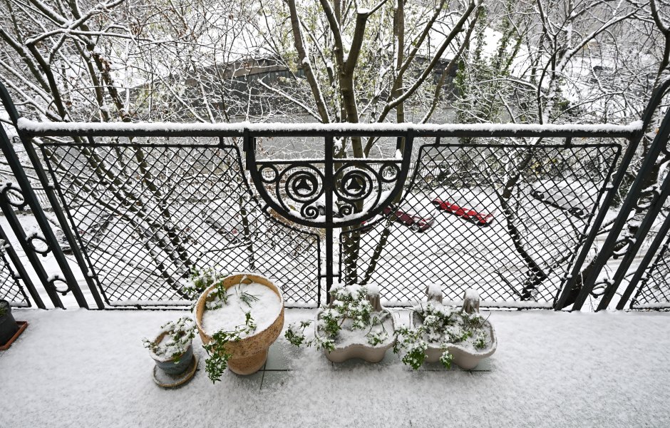 How to Plan Your Spring Garden This Winter