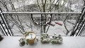 How to Plan Your Spring Garden This Winter