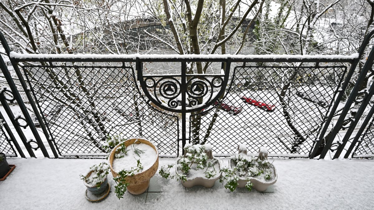 How to Plan Your Spring Garden This Winter