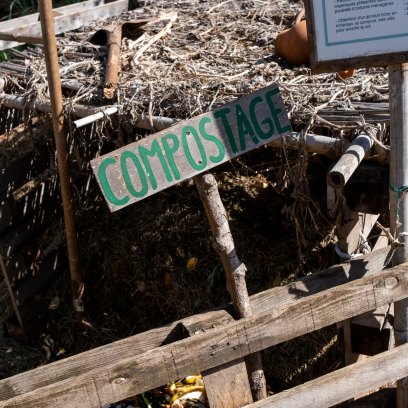 How to Start Composting Your Food Waste at Home