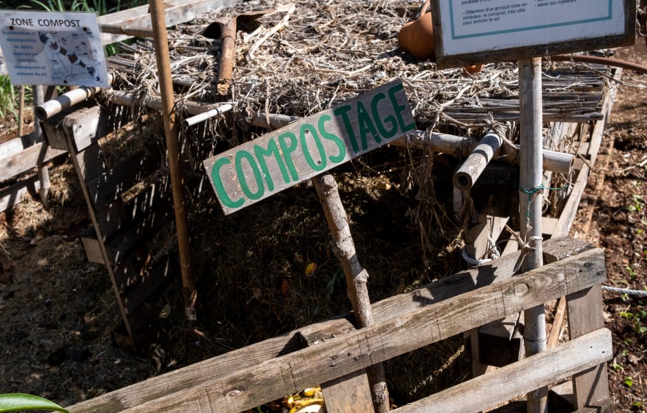 How to Start Composting Your Food Waste at Home