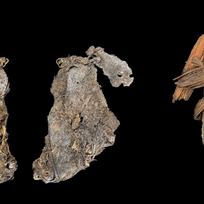 R. Rosencrance et al Science Advances 2026