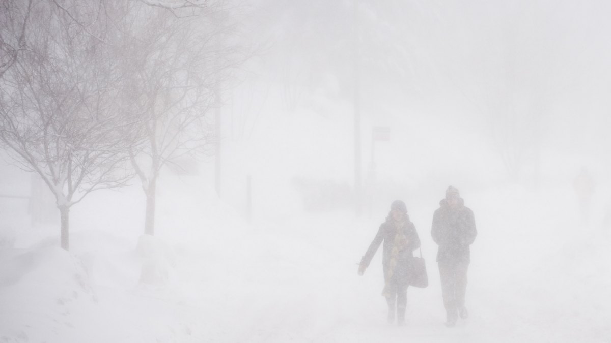 96552267 walk to school snow storm