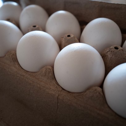 CHICAGO, ILLINOIS - MARCH 12: In this photo illustration, eggs are displayed in an egg carton on March 12, 2025 in Chicago, Illinois. The average price of eggs rose over 10 percent last month. (Photo Illustration by Scott Olson/Getty Images)