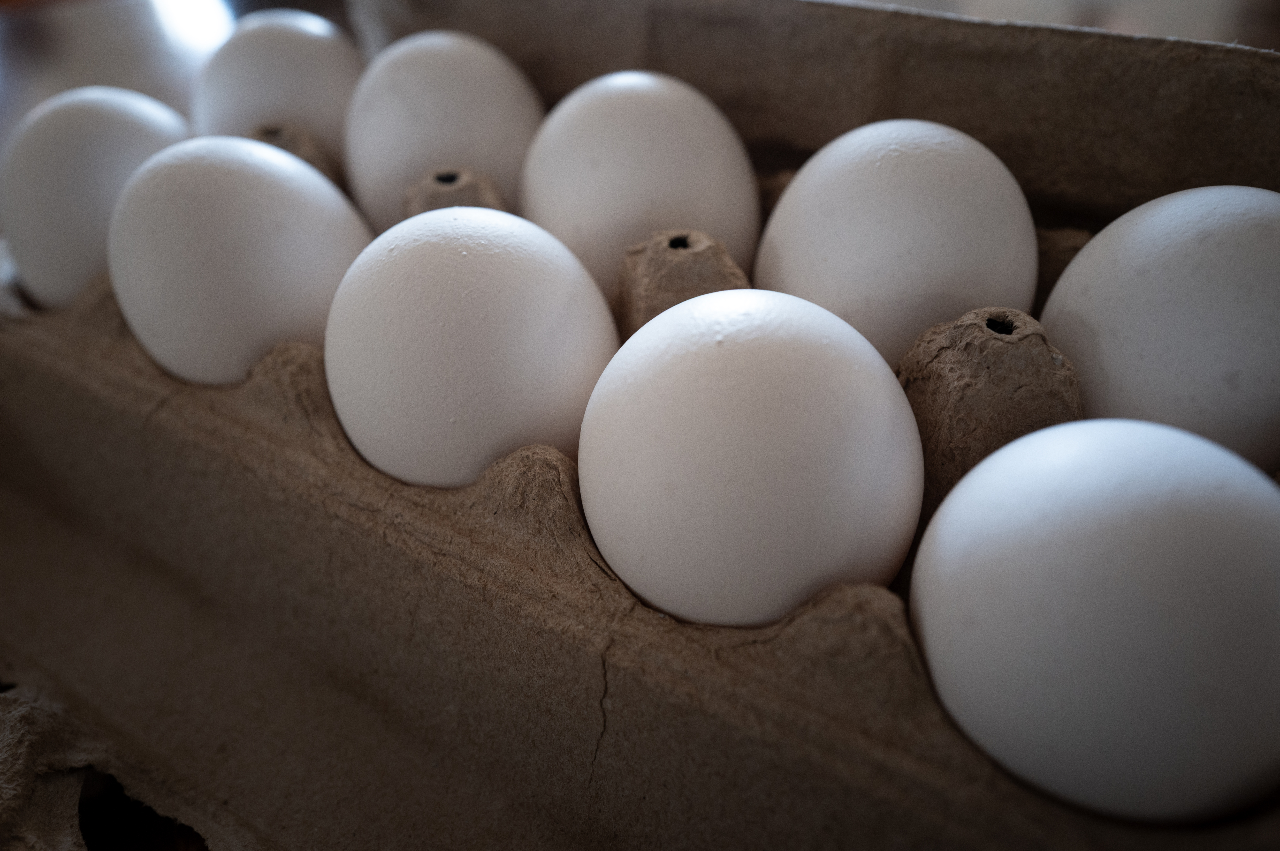 TikTok’s Viral Frozen Egg Trend Just Drew Serious Warnings From the FDA and USDA